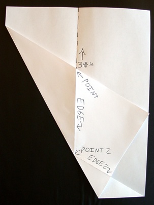 An Interesting Fold!